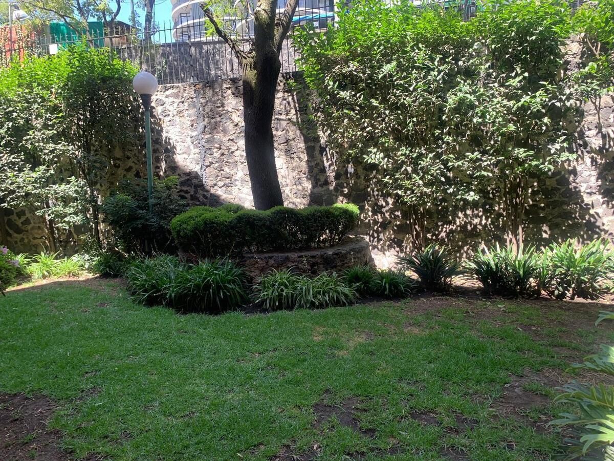 Imagen 3 de 10