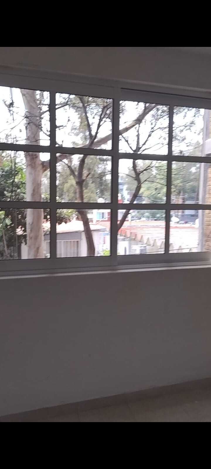6 de 21: Vista