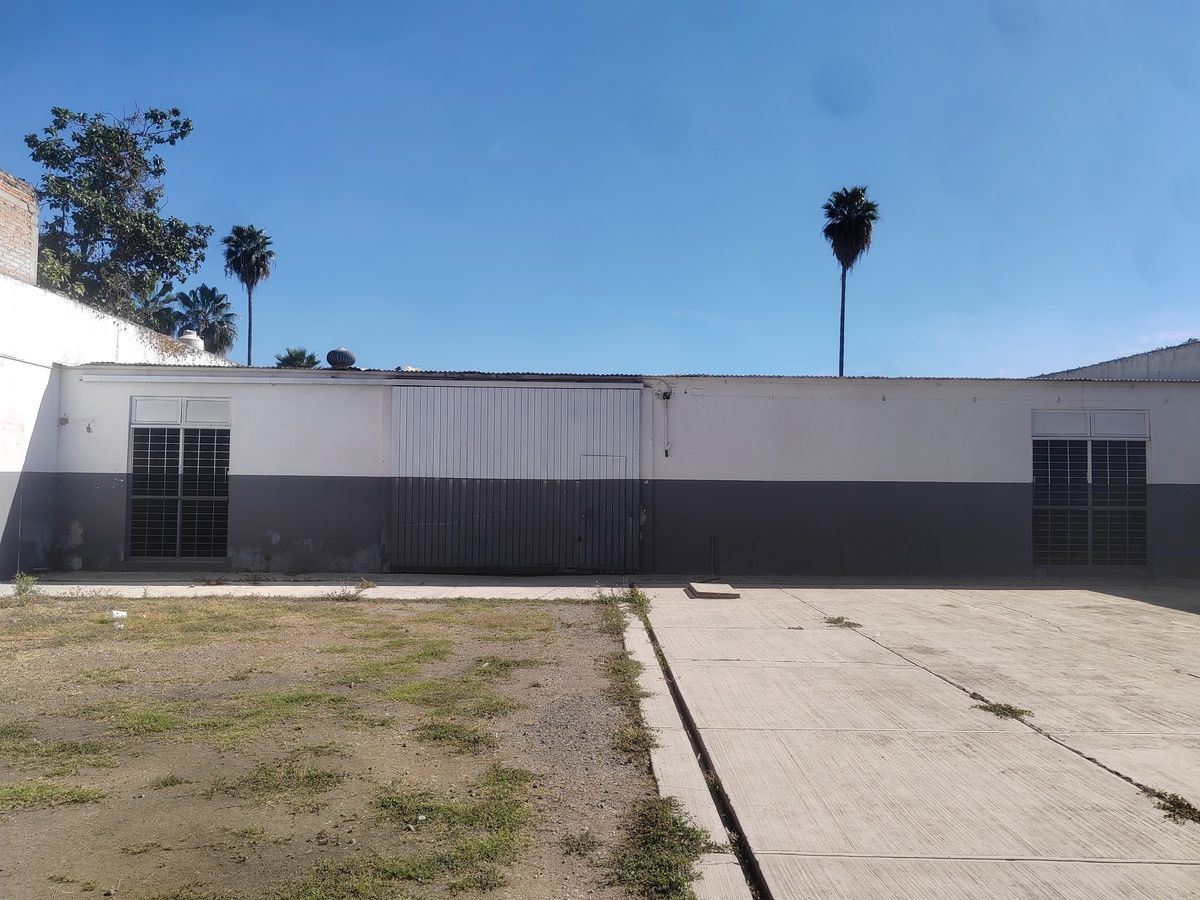 3 de 12