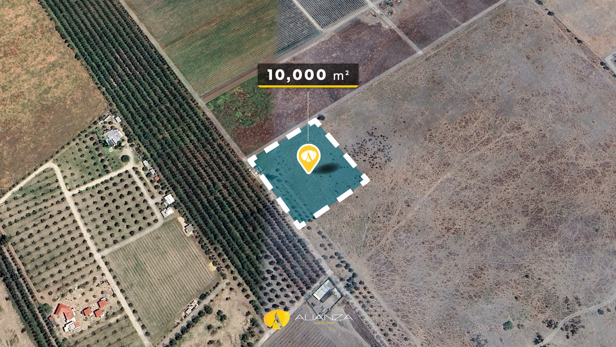 Una Hectárea en Venta en Valle de Guadalupe