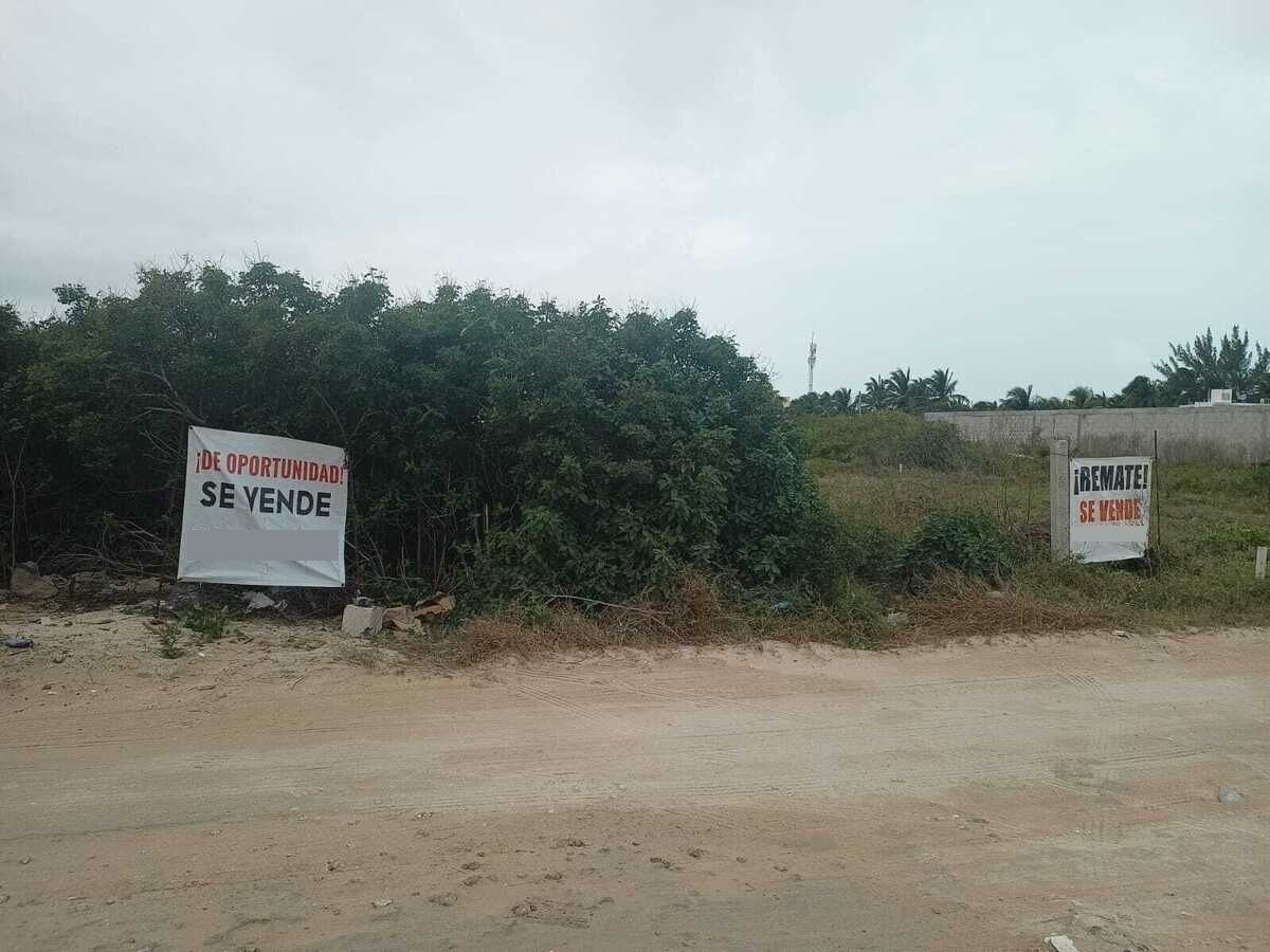 3 de 3