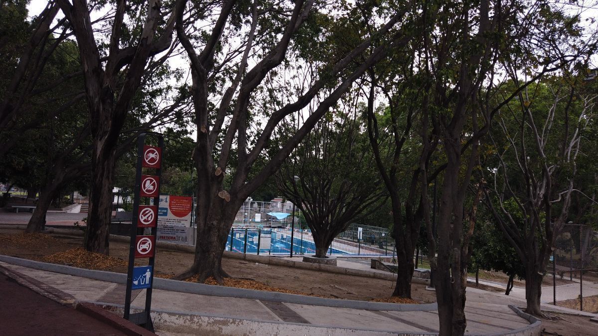 15 de 43