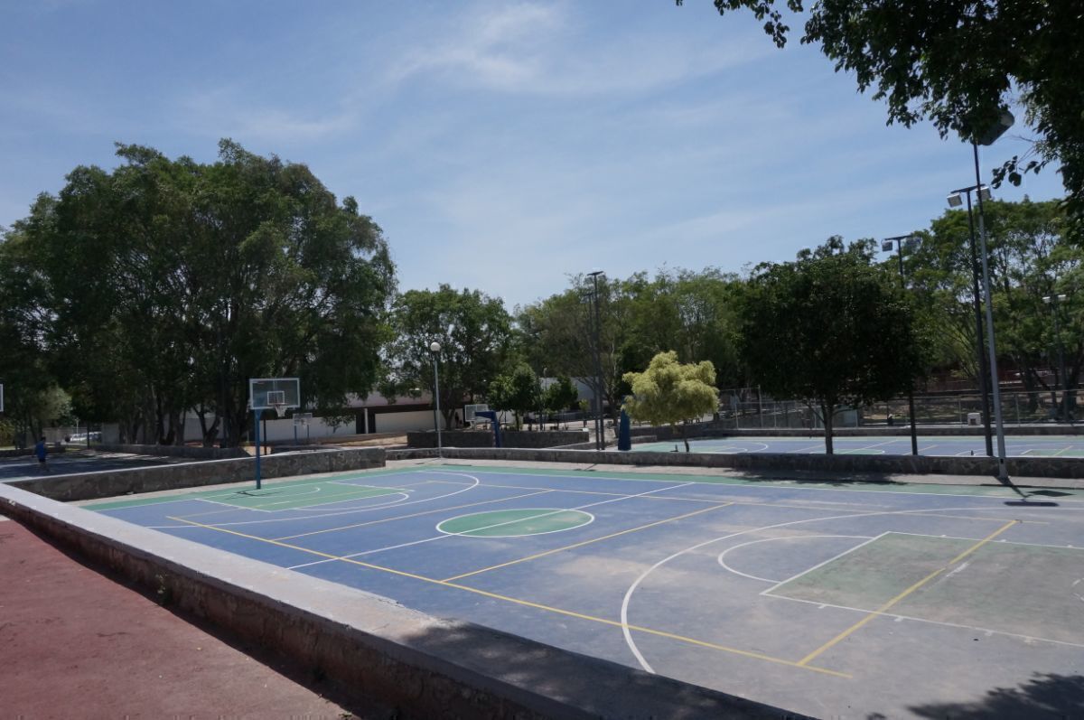 20 de 43