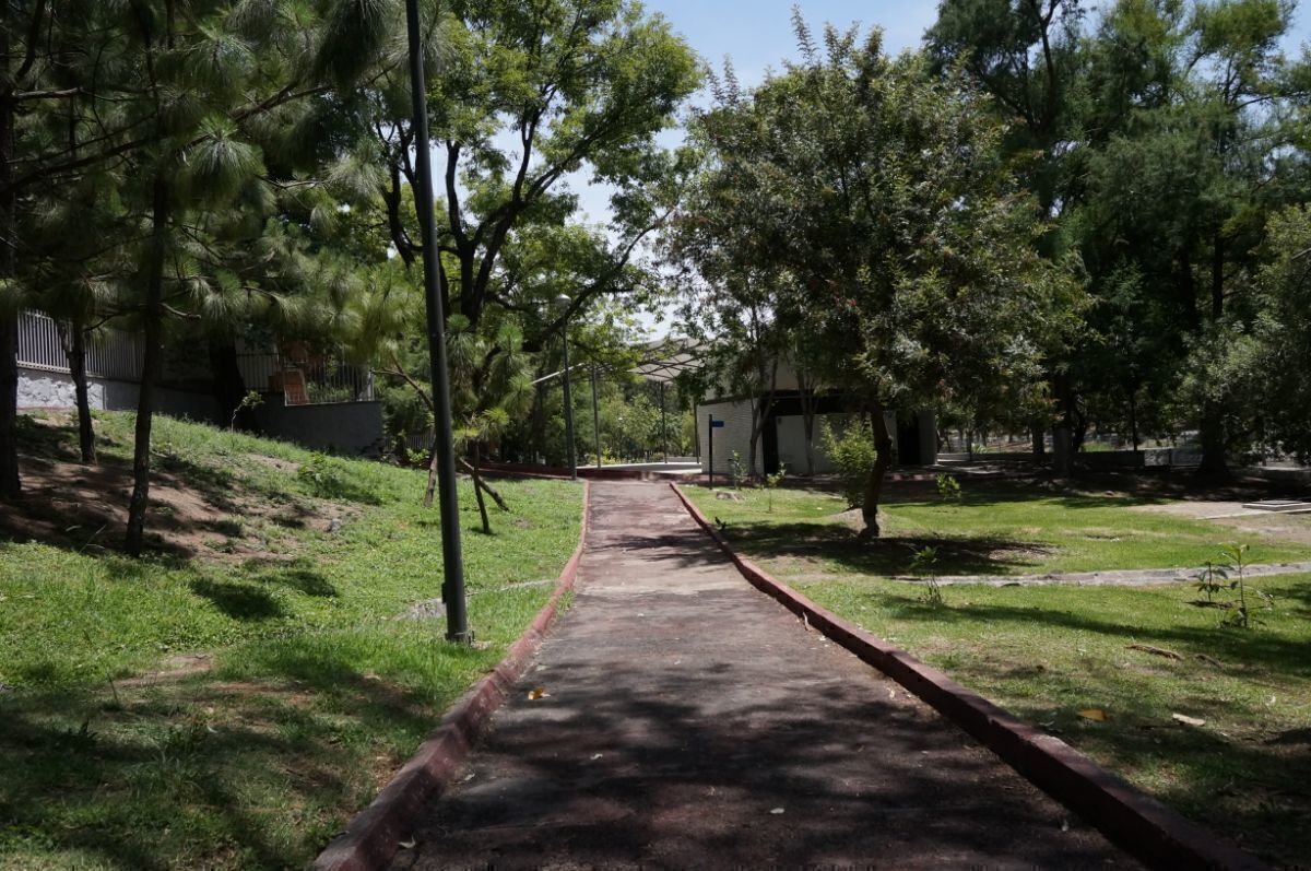 26 de 43