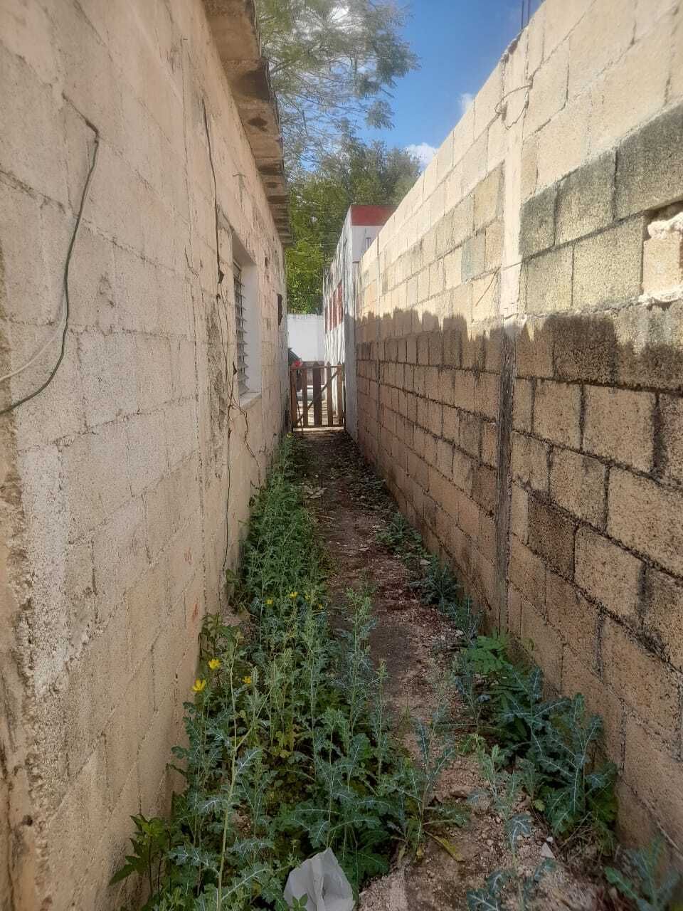 20 de 30