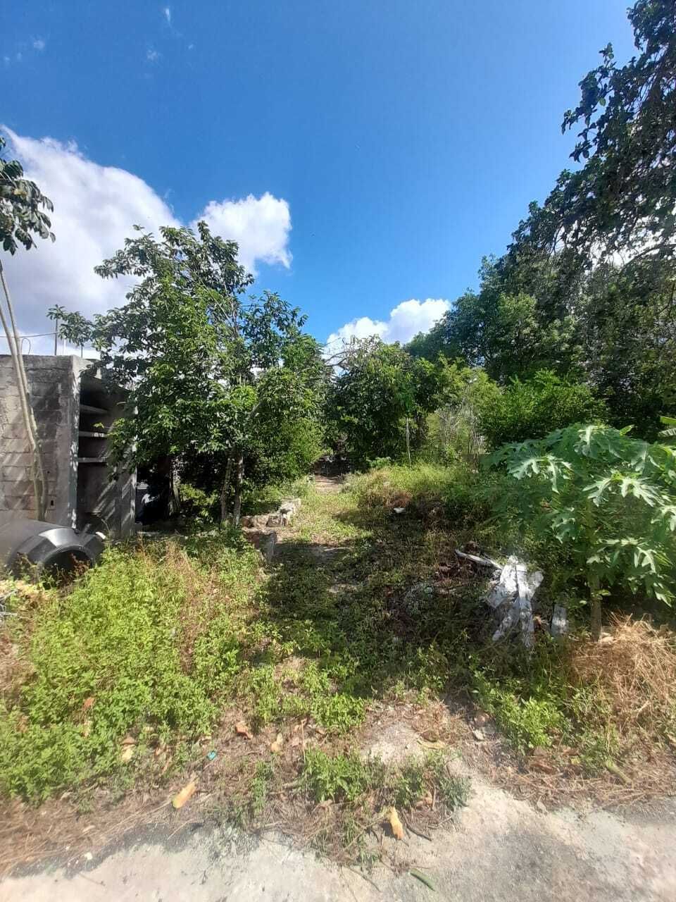 21 de 30