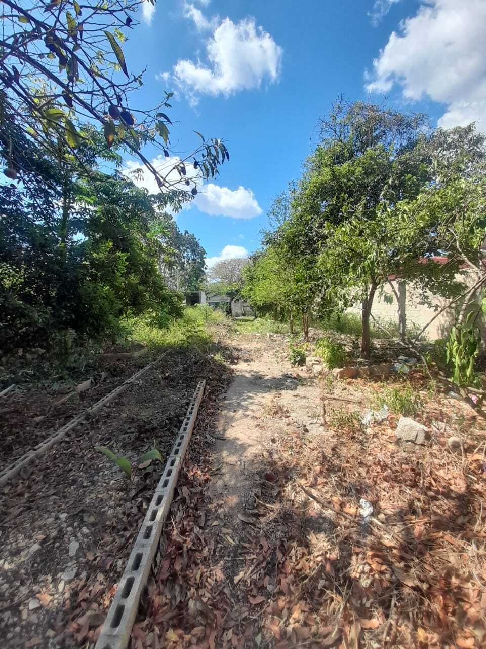 22 de 30