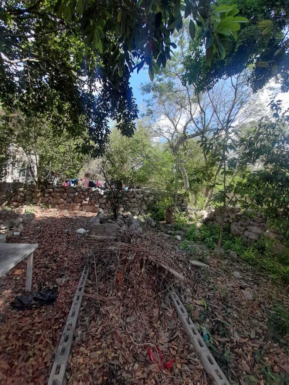 23 de 30