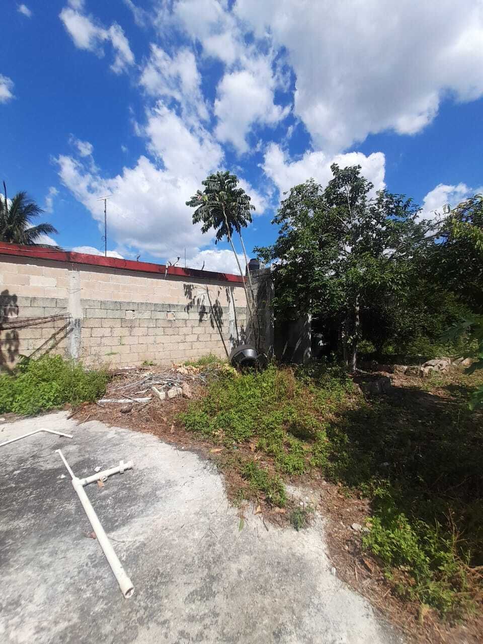 28 de 30