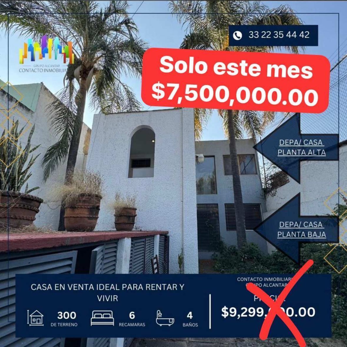 1 de 24
