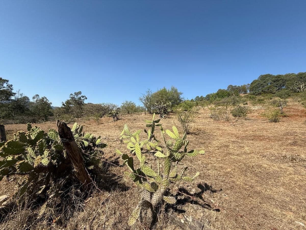 Terrenos en venta en Jesús del Monte, Morelia, Michoacán