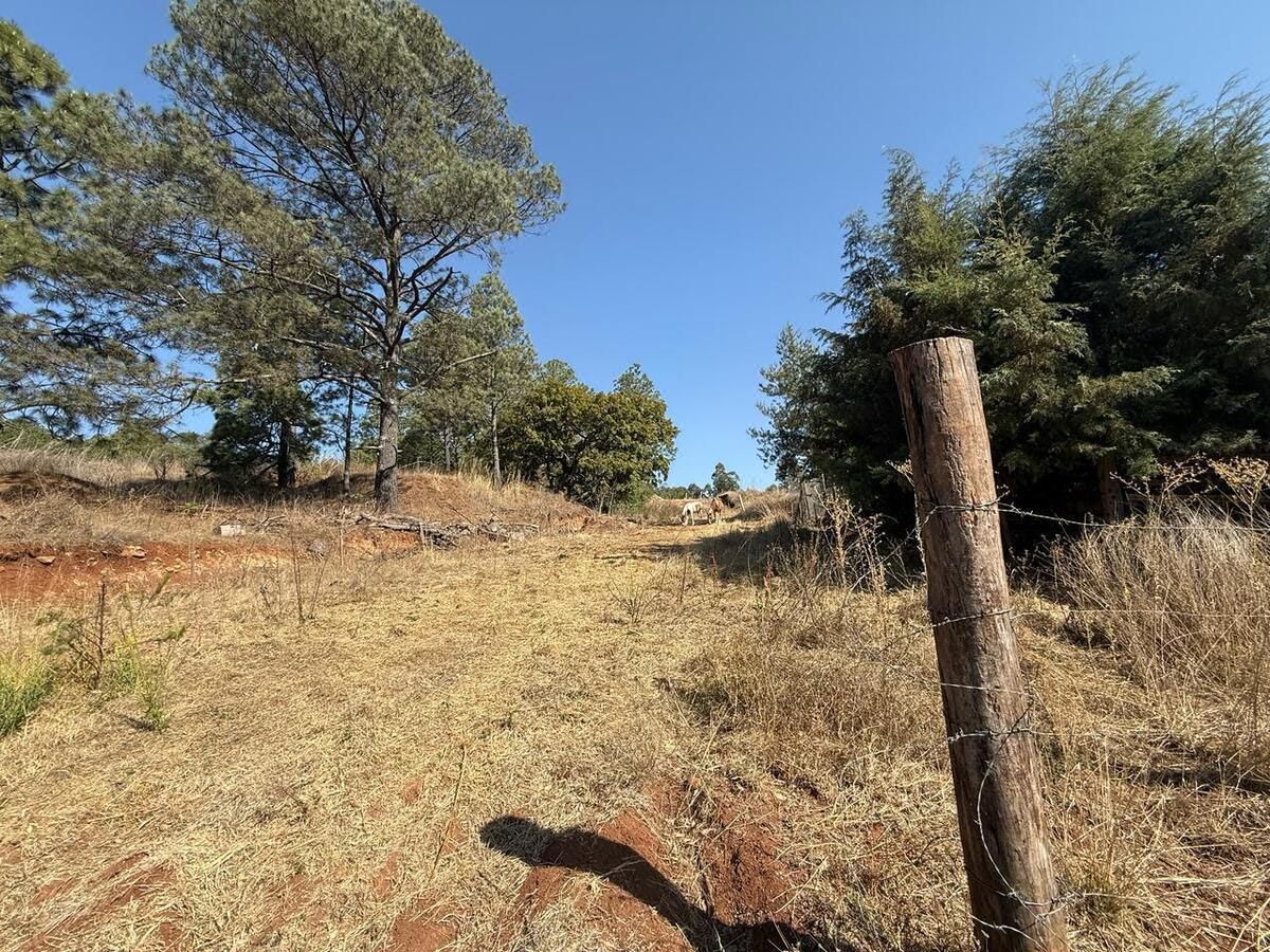 Terreno en venta en Jesús del Monte, Morelia, Michoacán
