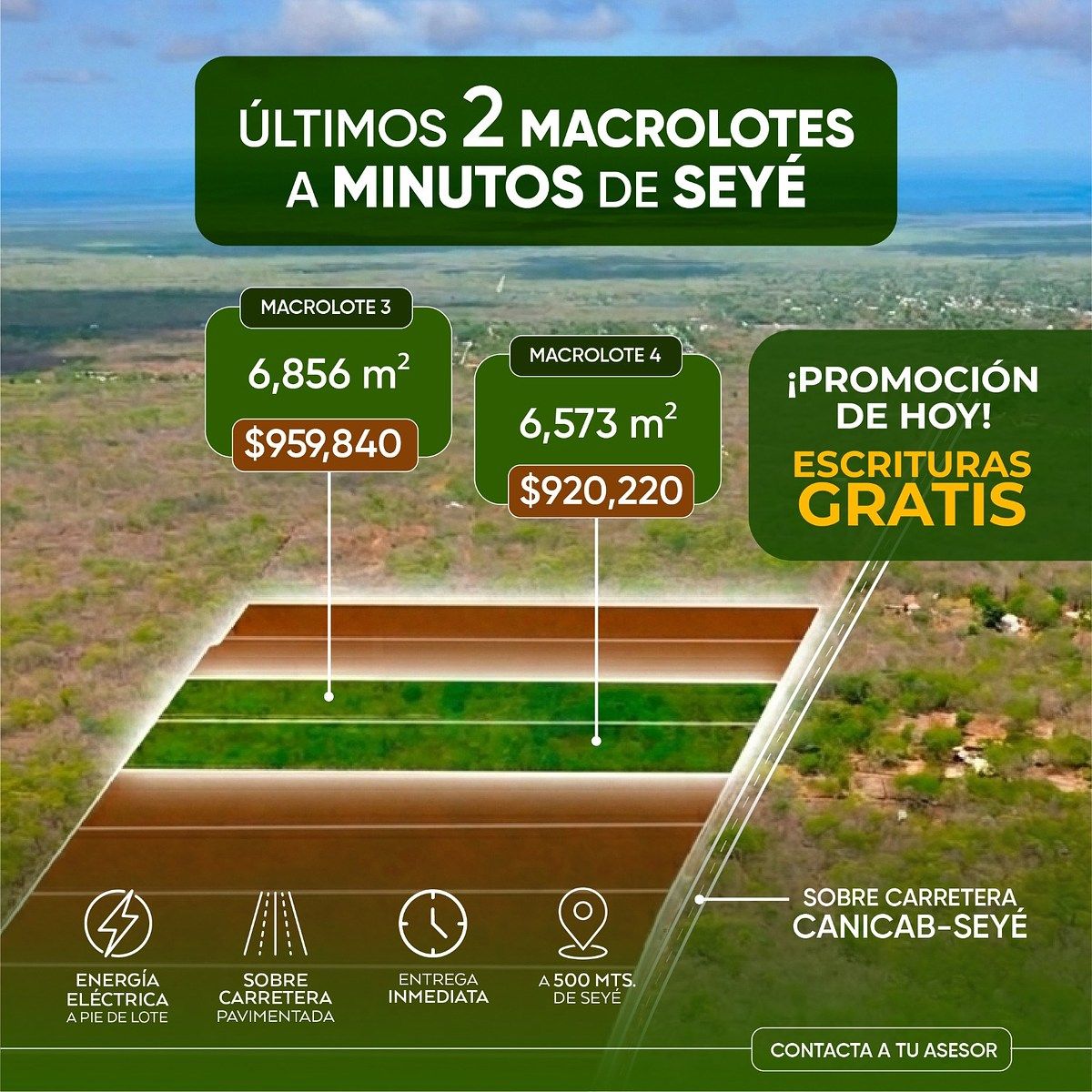 1 de 13