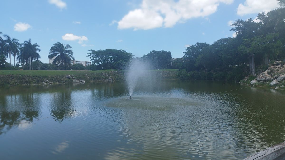 9 de 20