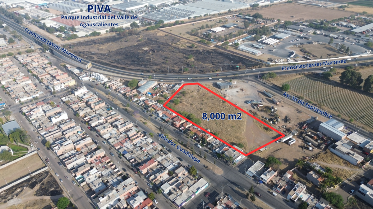 Imagen 4 de 6