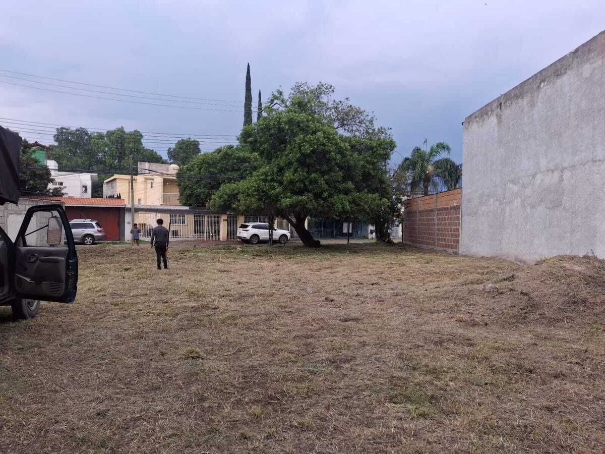 3 de 14
