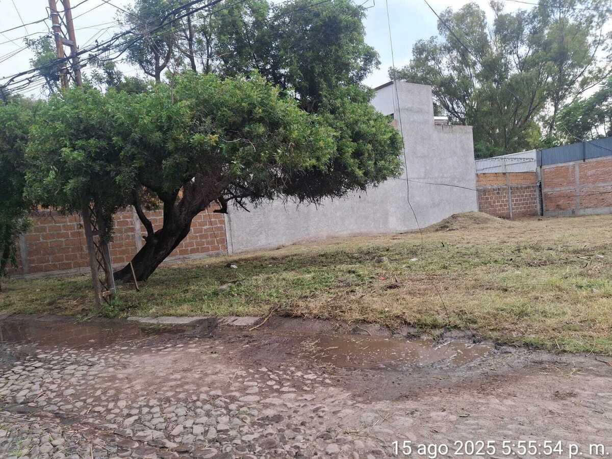 5 de 14