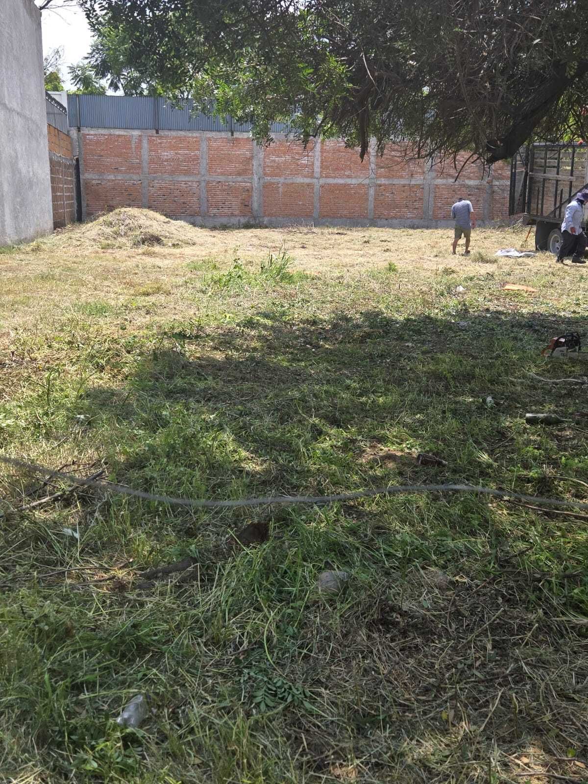 7 de 14