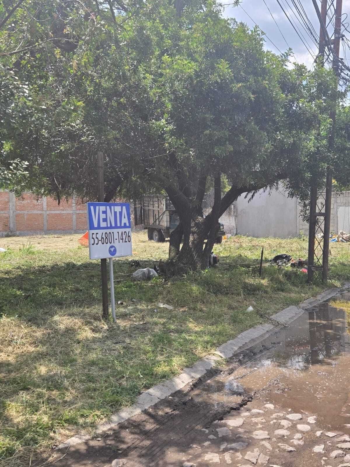 10 de 14
