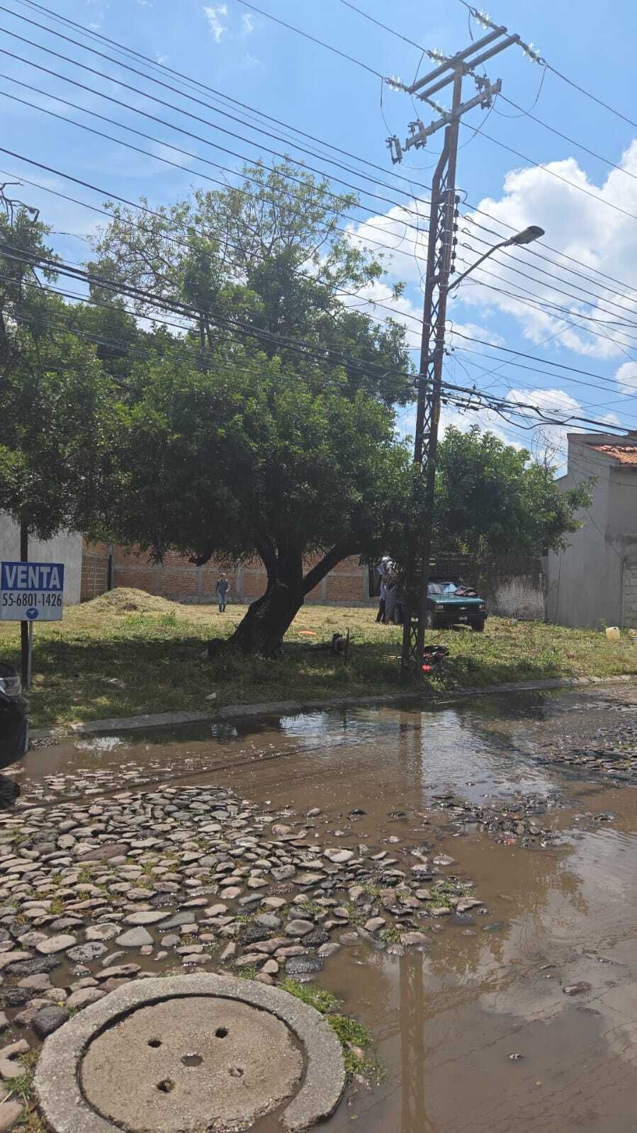 8 de 14