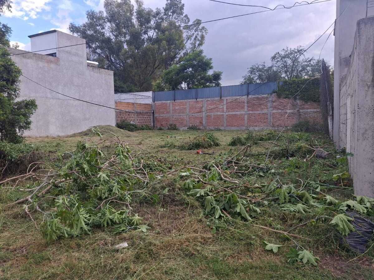 12 de 14
