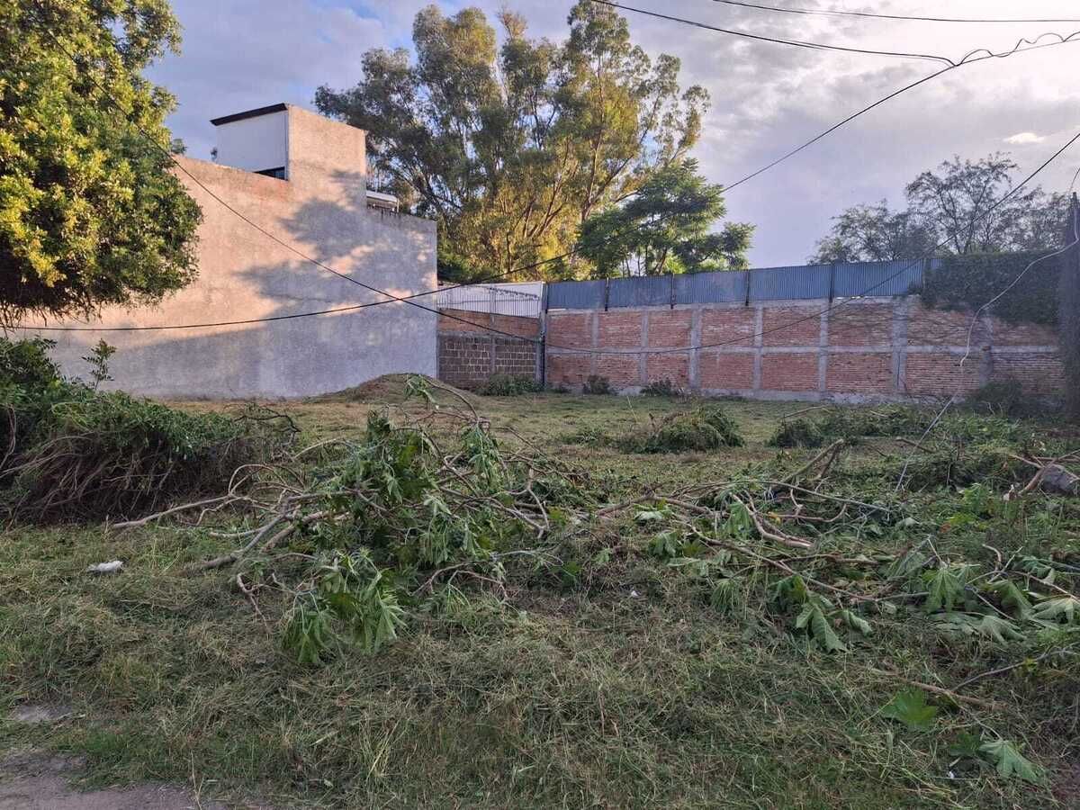 14 de 14