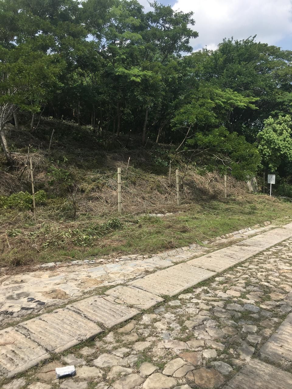 A Precio Irrepetible Invierte en Terreno de Uso Residencial en Mactumatzá. - foto 5