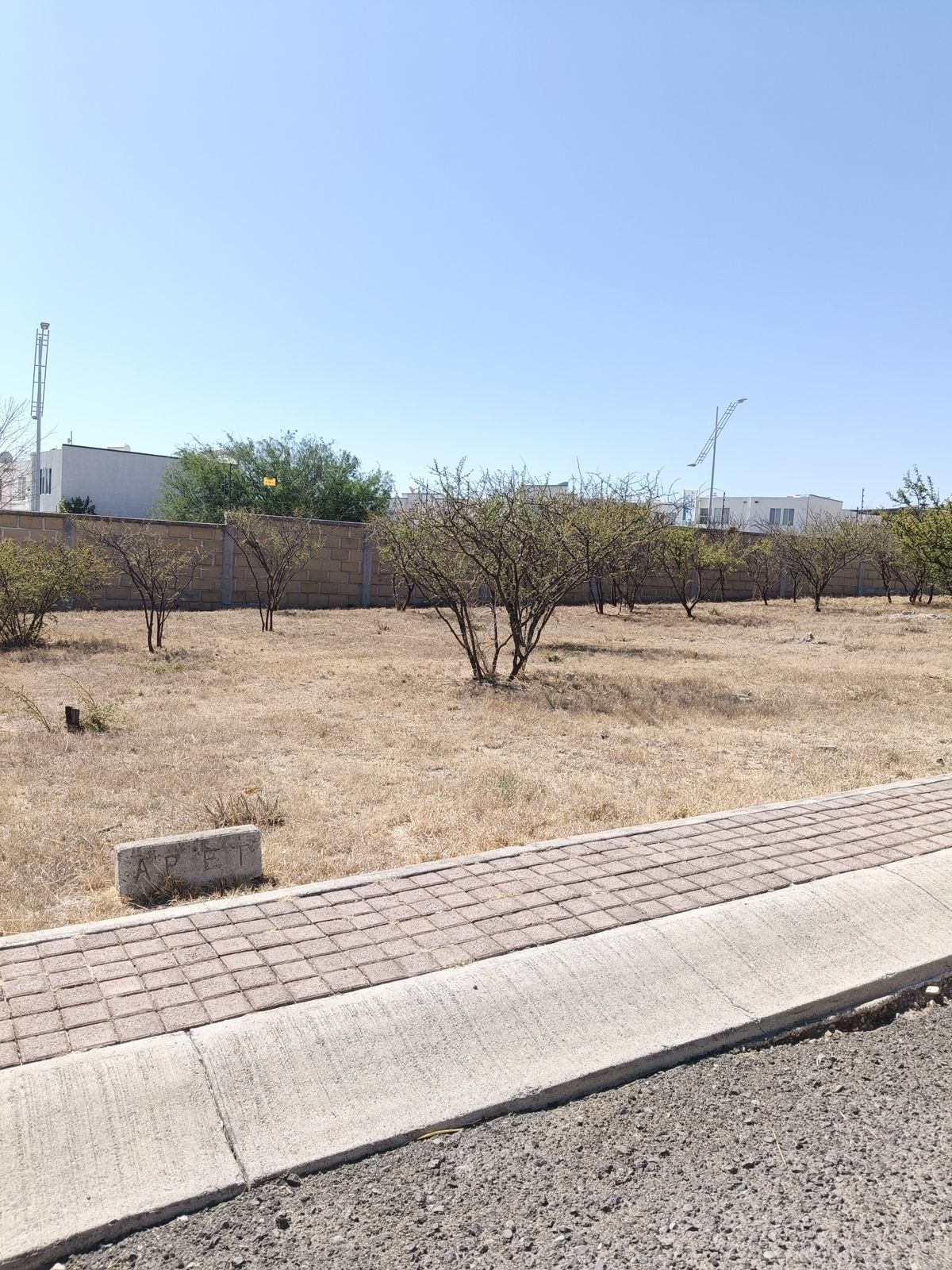 1 de 16: Lote 30