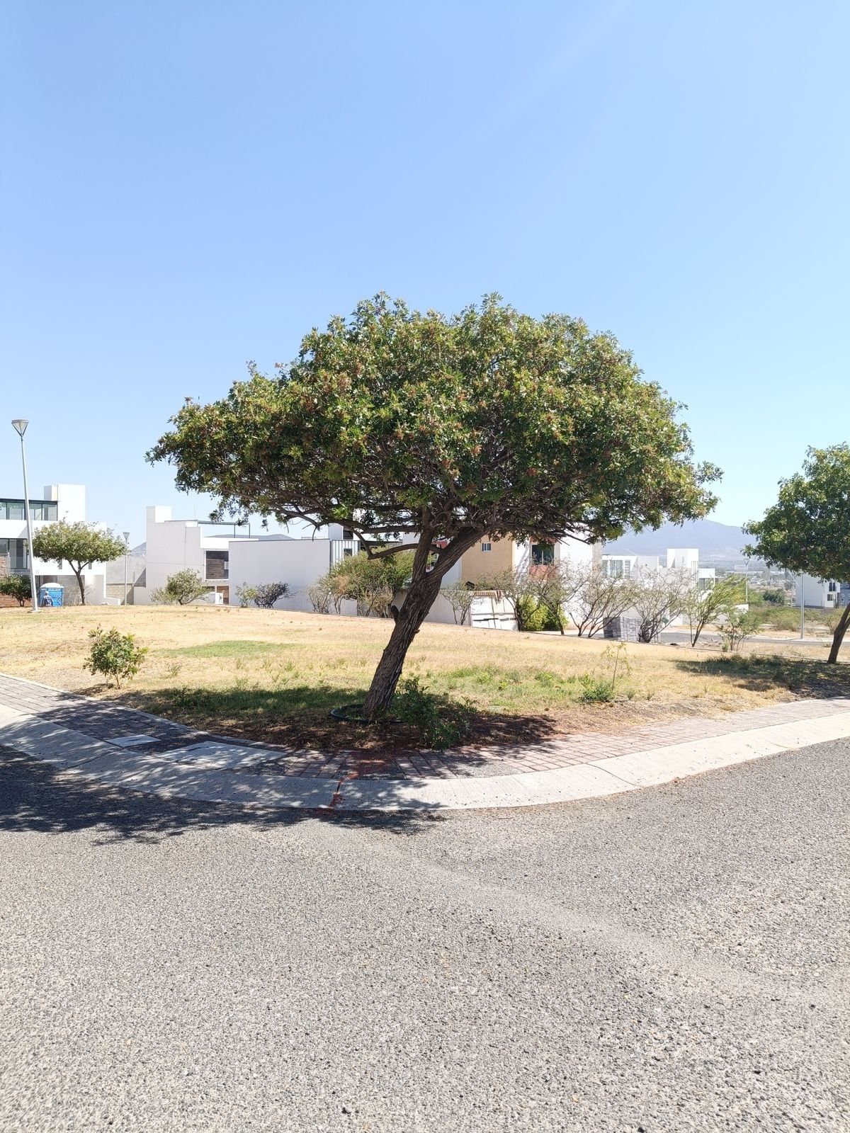10 de 16: Zona verde