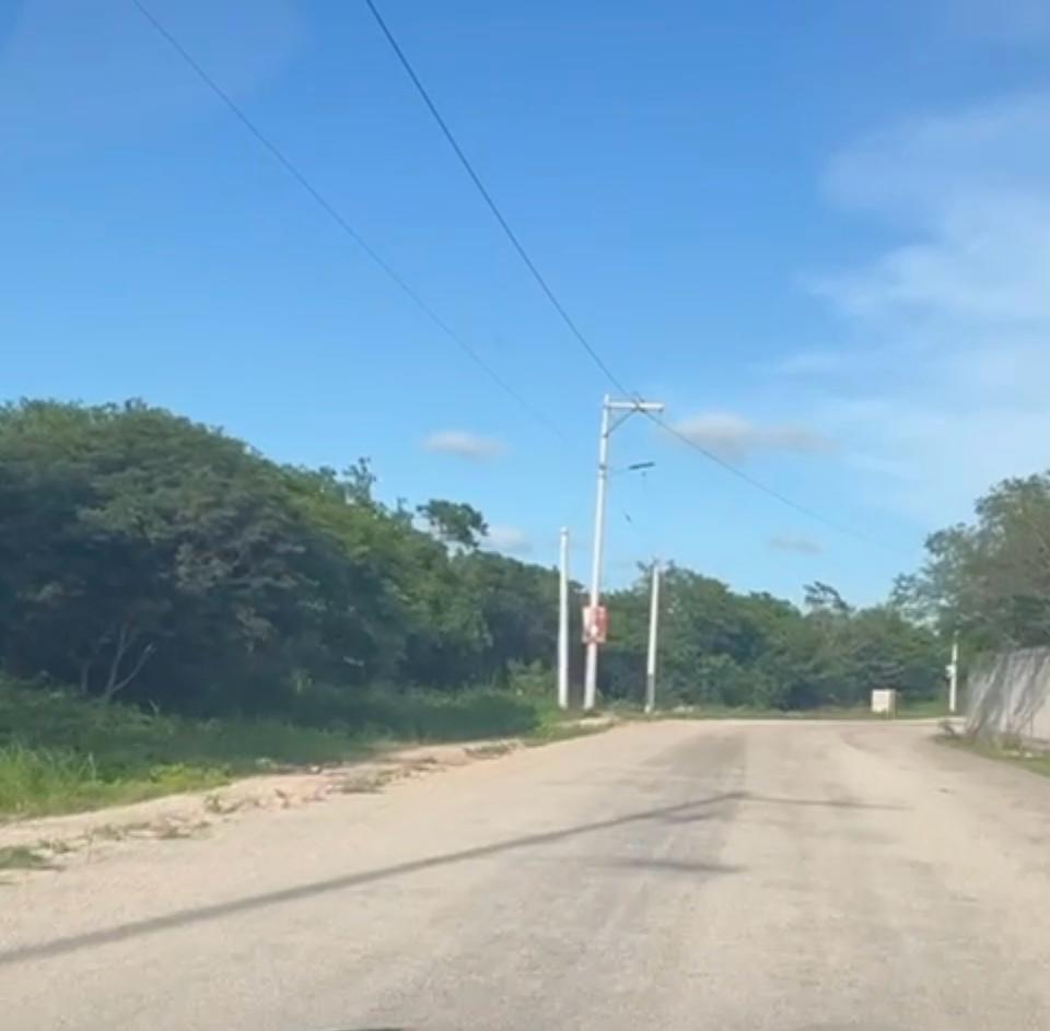 5 de 10
