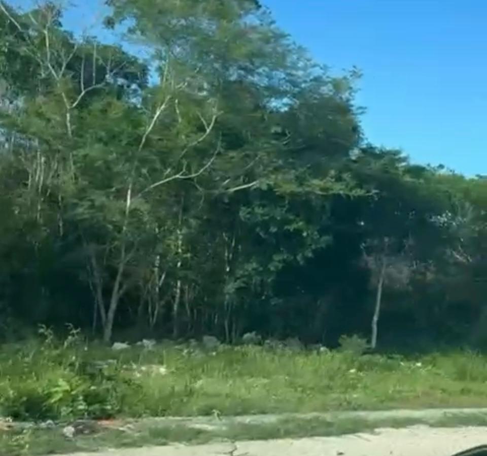 9 de 10