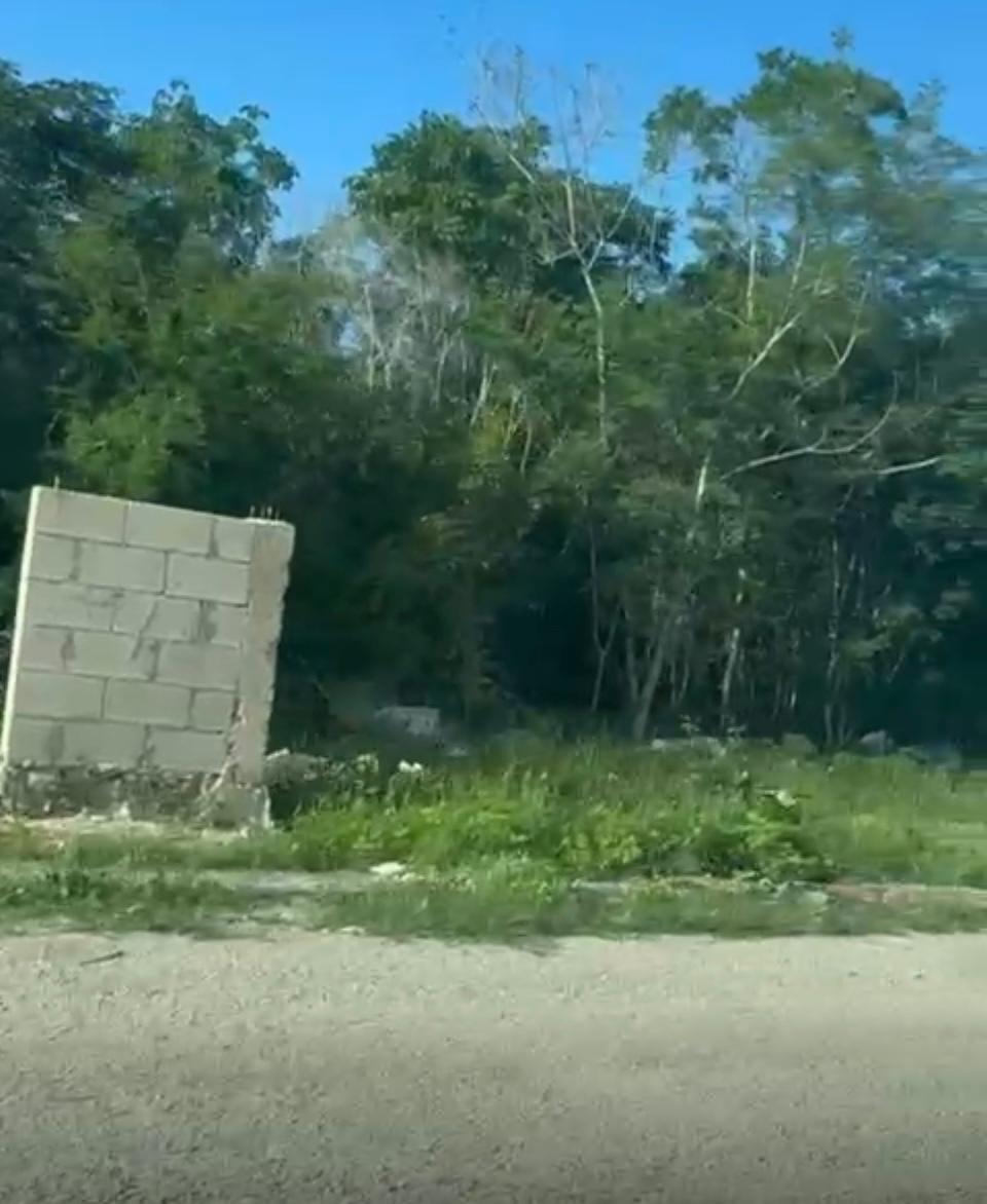 10 de 10