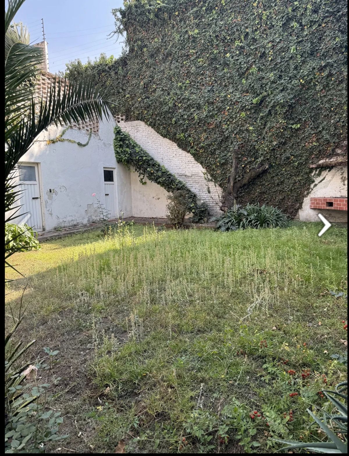 3 de 6