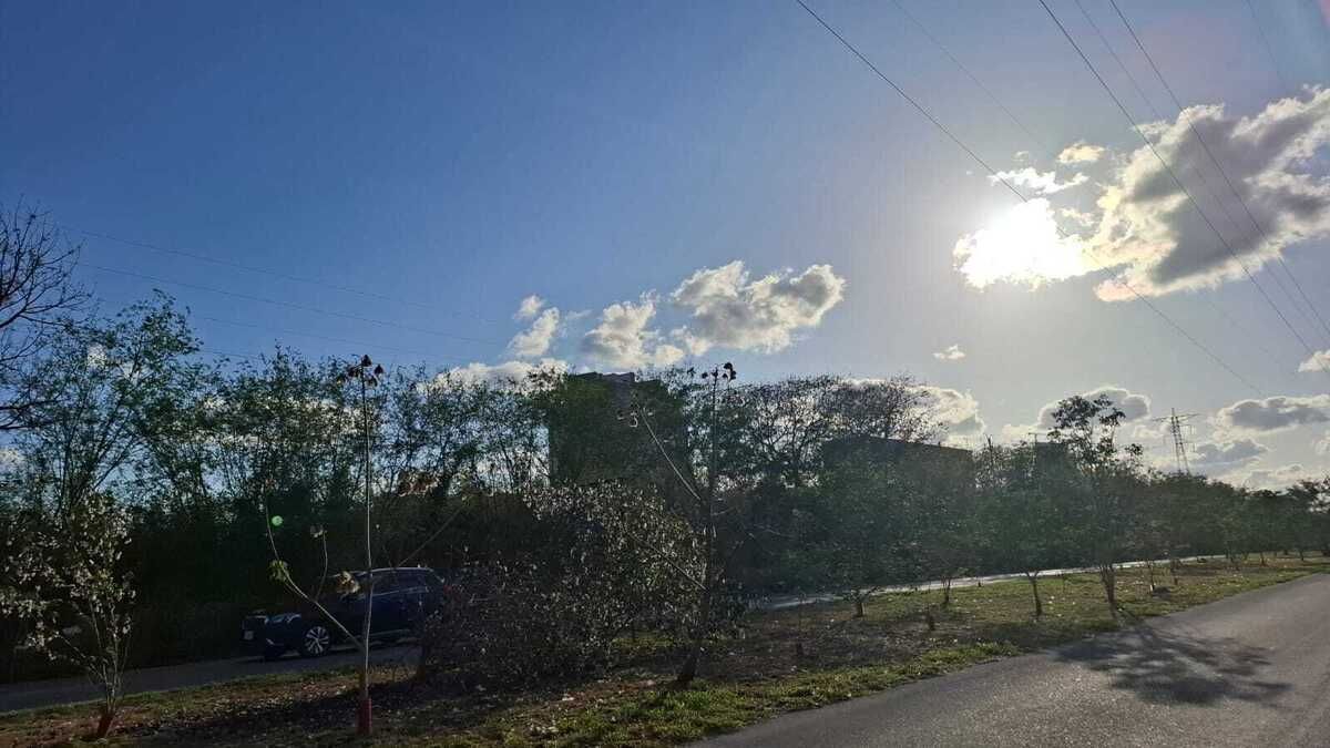 4 de 10