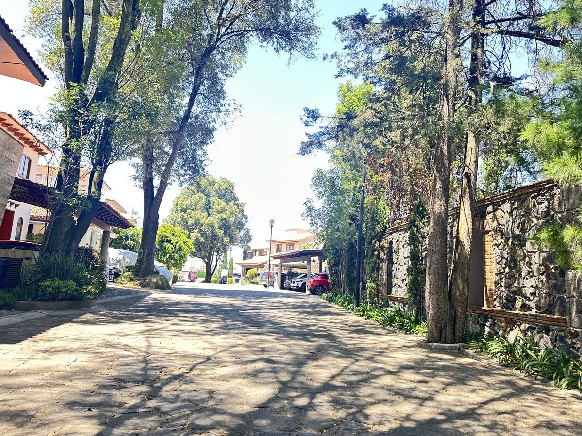 46 de 46