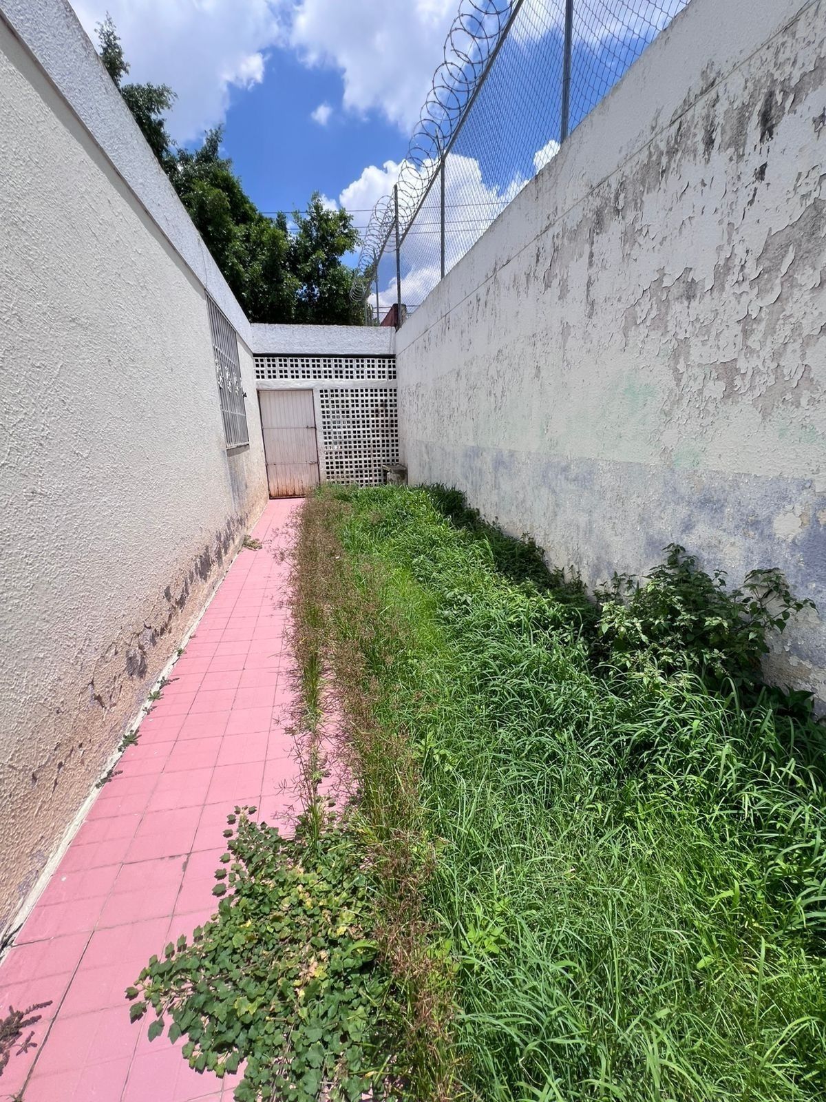 3 de 20