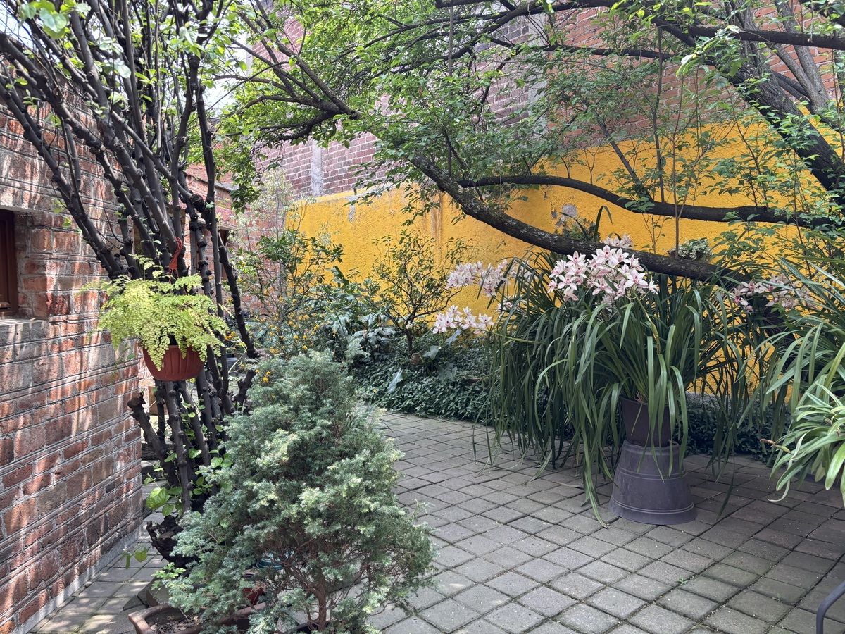 3 de 18: Casa en Venta en Barranca Seca Rayo Vende ®