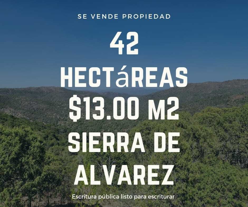 ¡Gran Oportunidad! 42 Hectáreas Listas para Escriturar a Precio Directo - foto 1