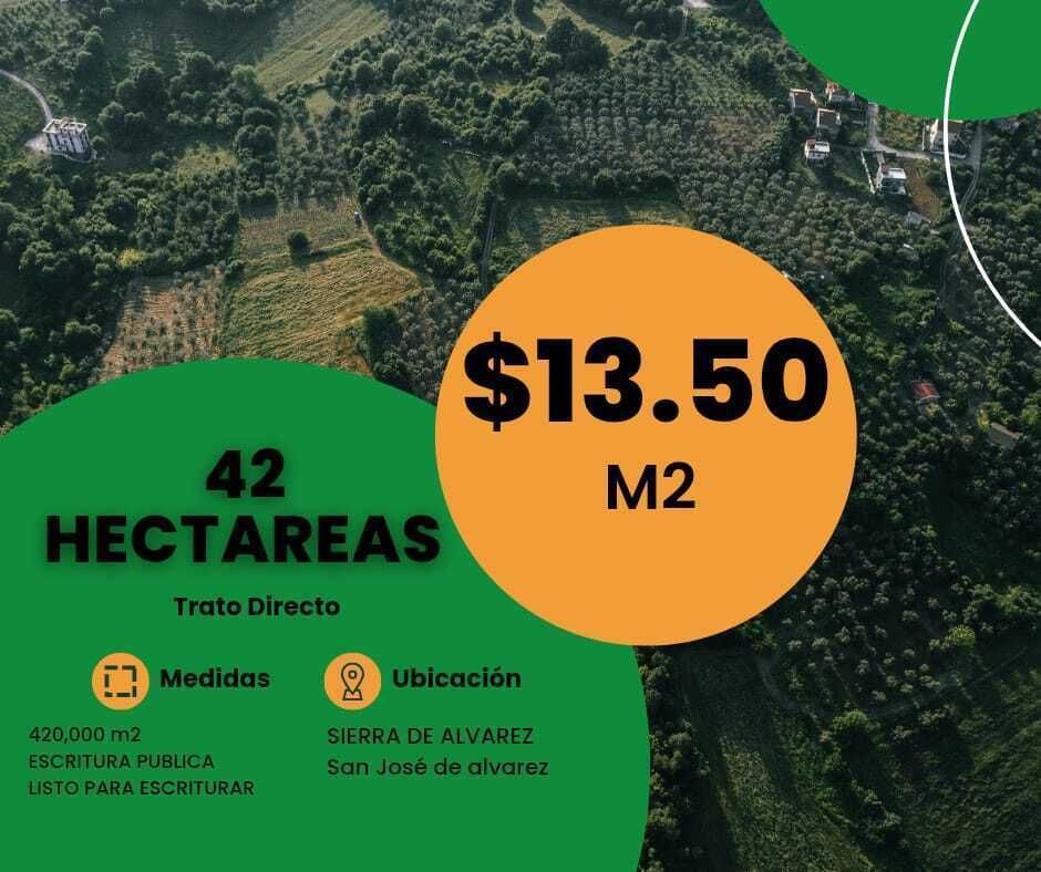 ¡Gran Oportunidad! 42 Hectáreas Listas para Escriturar a Precio Directo - foto 2
