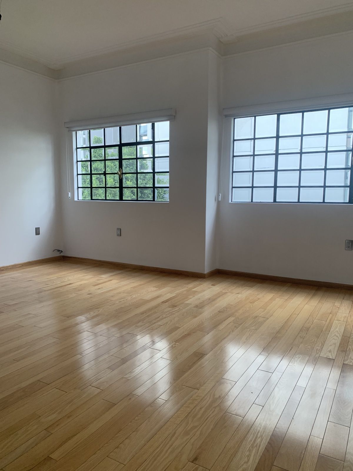 2 de 16: Sala - Comedor