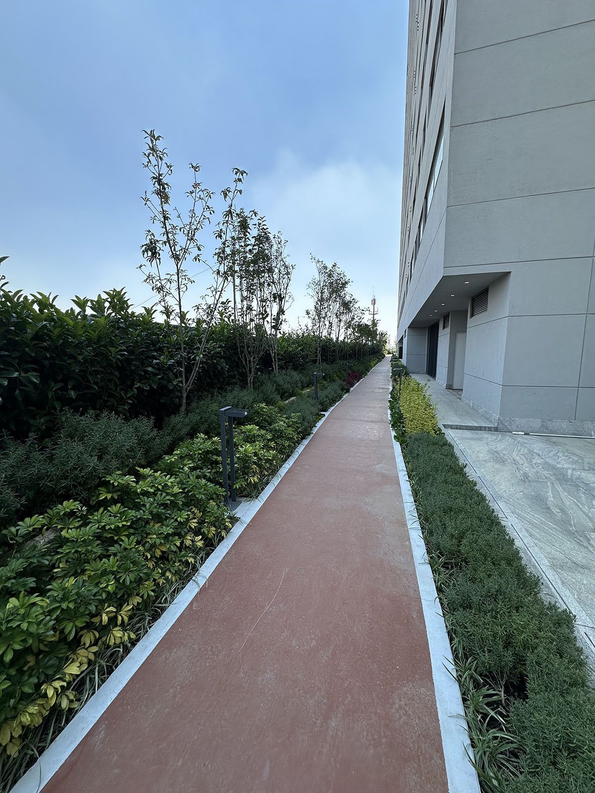 34 de 45: PISTA DE JOGGIN