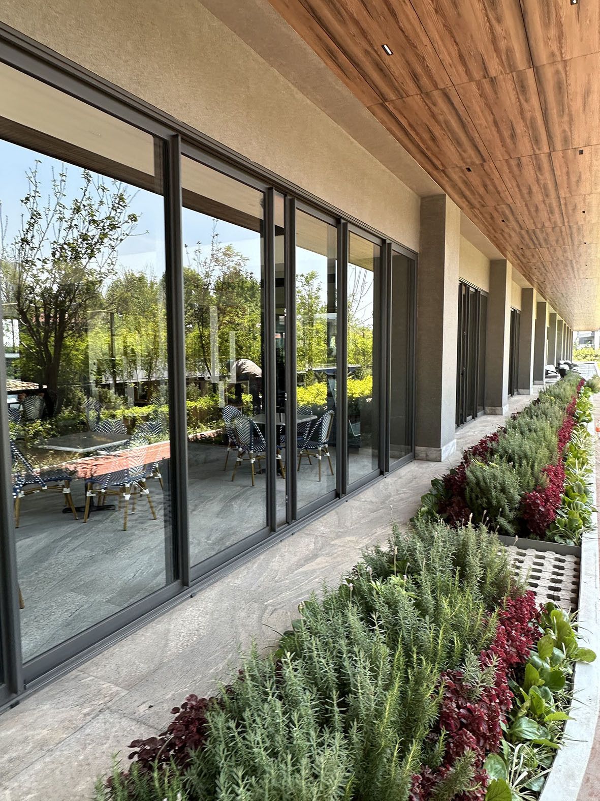 37 de 45: TERRAZA