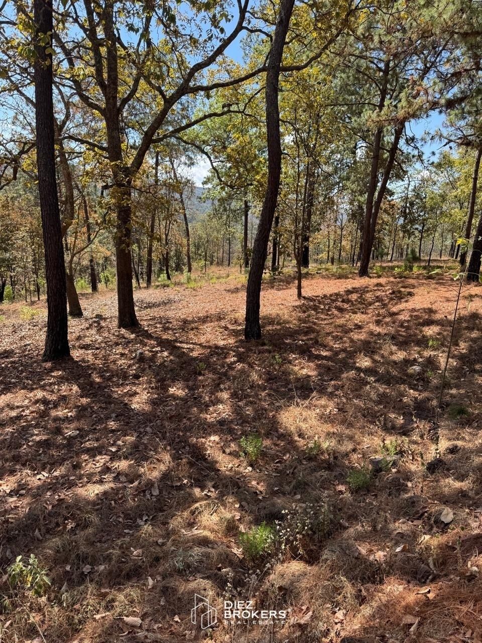 Terreno en Venta - Mazamitla, Jalisco - foto 1