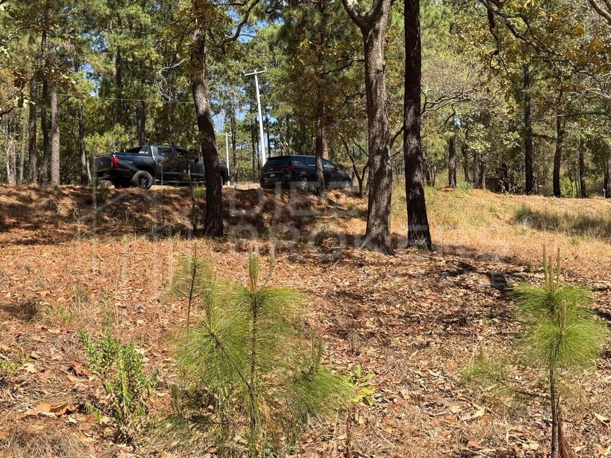 Terreno en Venta - Mazamitla, Jalisco - foto 2
