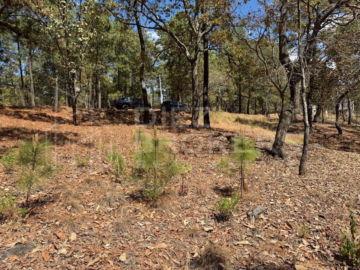 Terreno en Venta - Mazamitla, Jalisco - foto 3