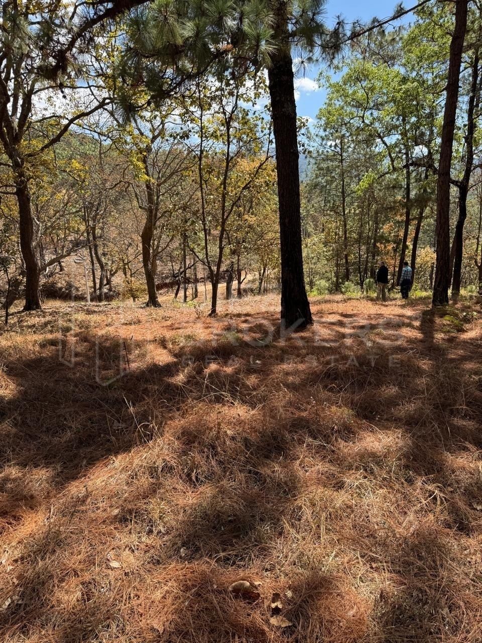 Terreno en Venta - Mazamitla, Jalisco - foto 4