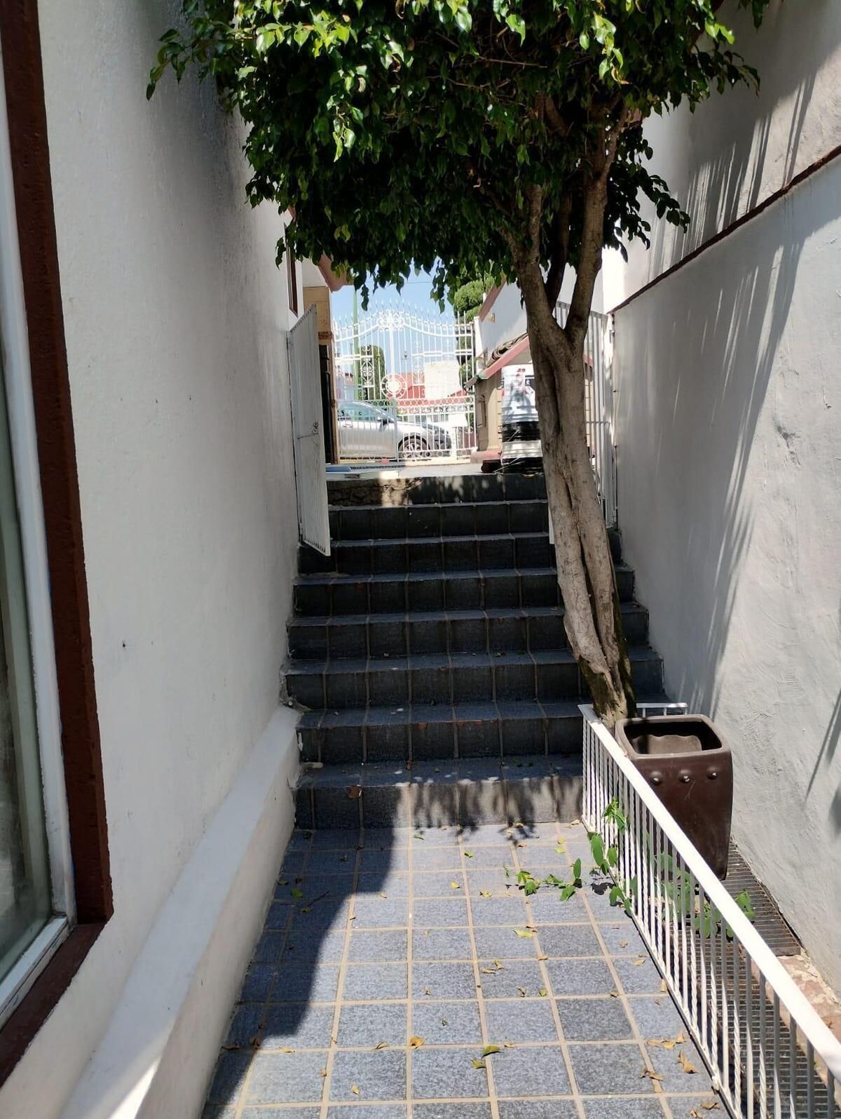 4 de 20