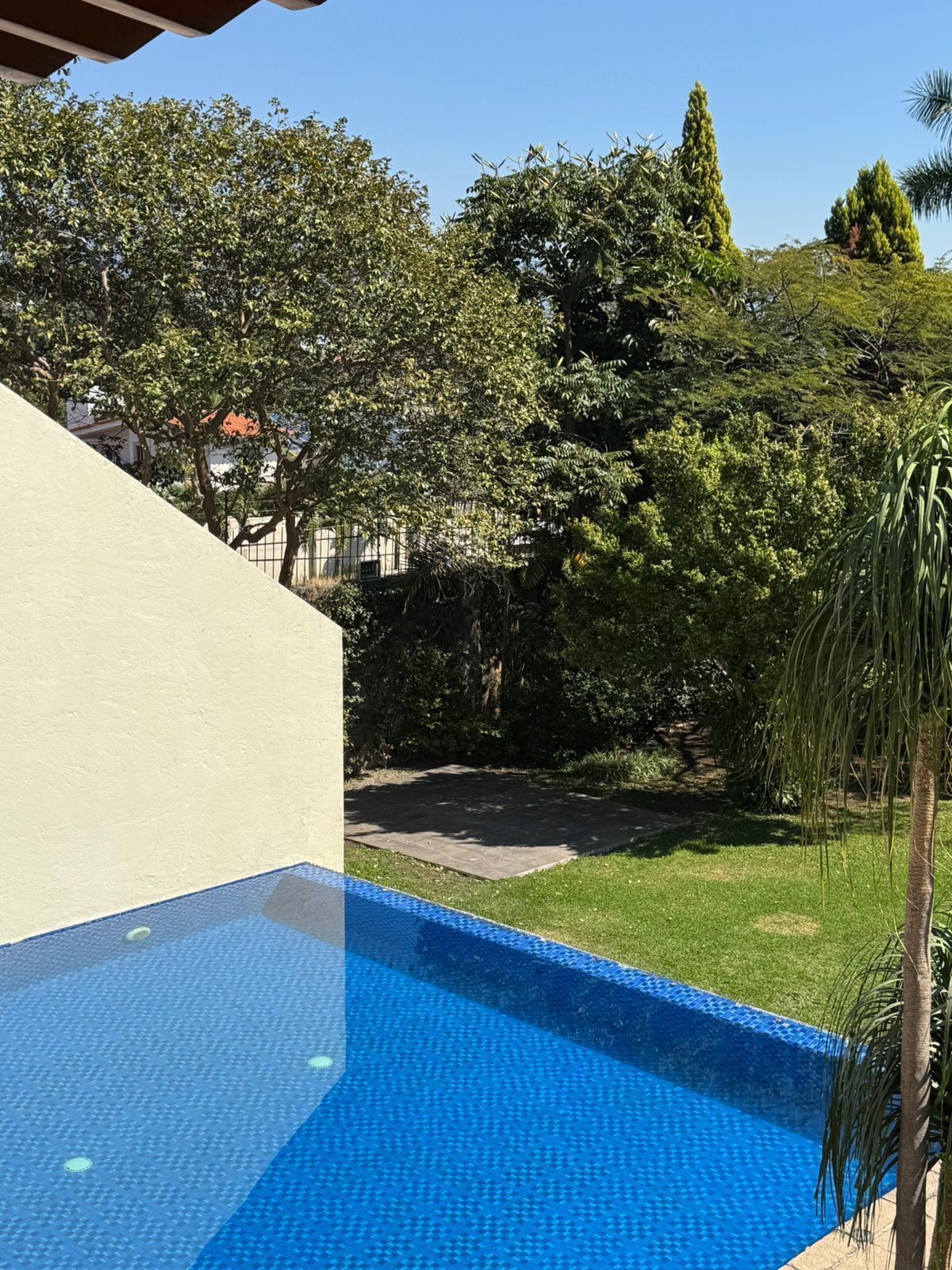 6 de 23