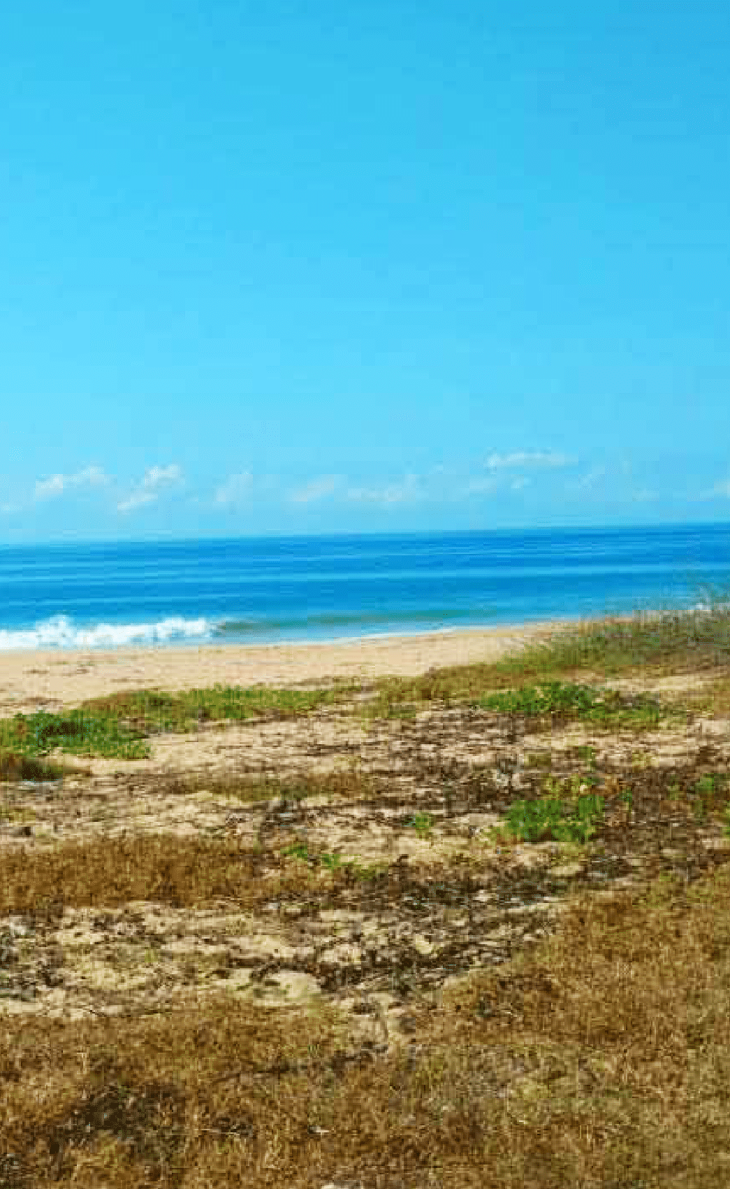Terreno en venta proyecto Navigo en Acapulco Diamante - foto 2