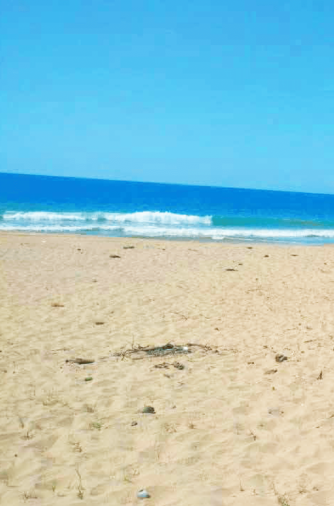 Terreno en venta, BAJA DE PRECIO! frente a la playa en Acapulco Diamante - foto 3